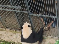 -黔灵山公园