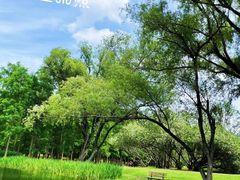 -上海共青森林公园