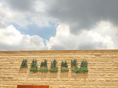 -盘龙城国家考古遗址公园