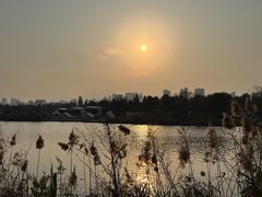 -三垟湿地