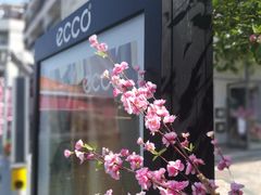 -奈雪的茶(大梅沙8号仓店)