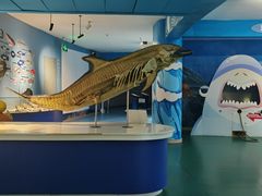 -烟台海昌鲸鲨海洋公园