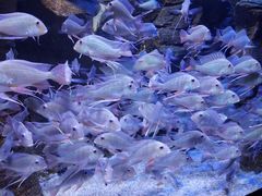 -成都浩海立方海洋公园