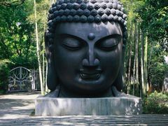 -杭州植物园