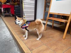 -南丫岛