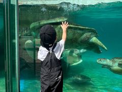 -海合安成都极地海洋公园