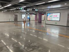 -向西村(地铁站)