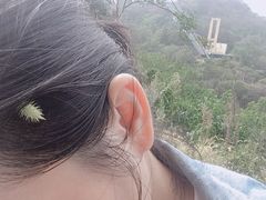 -木兰云雾山