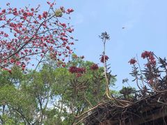 -伦教678文化街