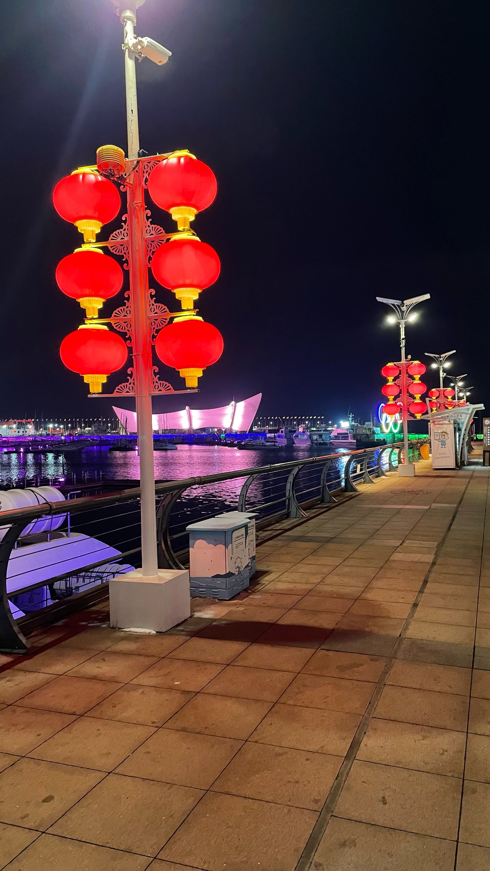 寒风中的奥帆中心清冷又明亮