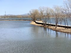 -野鸭湖国家湿地公园