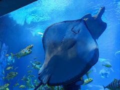 -太平洋海底世界