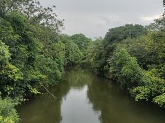 景点-粤晖园