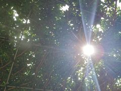 -武汉紫薇都市田园