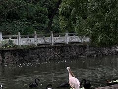 -黔灵山公园