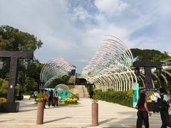 -圣淘沙天际线斜坡滑车