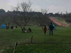 -秀丽东方
