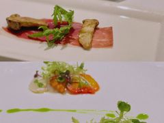 -蝶舍·MAISON PAPILLON