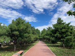 -宛平城