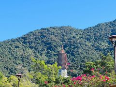 -深圳仙湖植物园