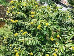 -天目湖御水温泉·度假酒店