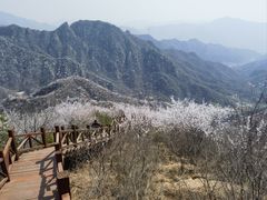 -大岭沟猕猴桃谷风景区