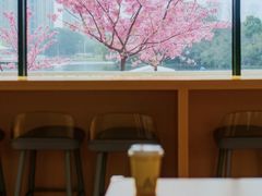 -新江湾城公园