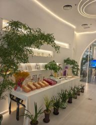 -紫琪尔·匠心连锁·胸部护理养护