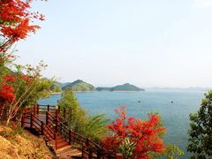 -大屏嶂森林公园