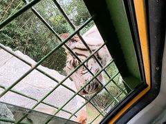 -郑州银基国际旅游度假区