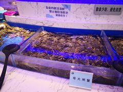 -澜悦港海鲜体验主题餐厅