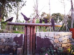 -回龙观体育文化公园