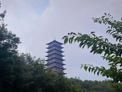-大伊山景区