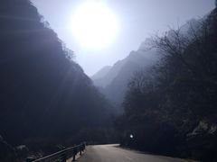 -陕西省红河谷森林公园