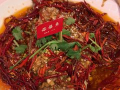 -杨氏青龙虾·羊蝎子(珠江路店)