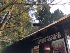 -金盆阿嬷香菇茶叶蛋(玄光店)