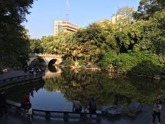 -柳侯公园