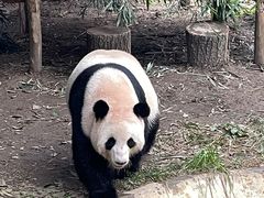 -贵州森林野生动物园