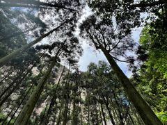-雁荡山风景名胜区