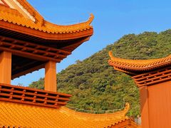 -深圳仙湖植物园
