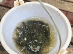 -三亚亚龙湾红树林度假酒店