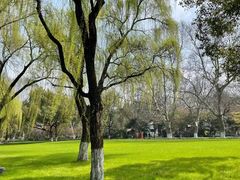 -柳浪闻莺公园
