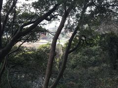 -上海佘山国家森林公园西佘山园