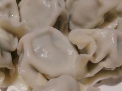 鲜肉茴香-金谷园饺子·烧烤(人大总店)