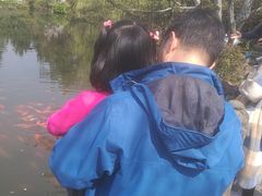 -西湖外事游船(花港观鱼码头)