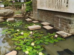 -深圳龙潭公园