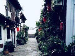 -运河游船(武林门码头)