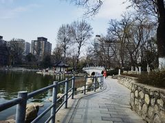 -莲湖公园
