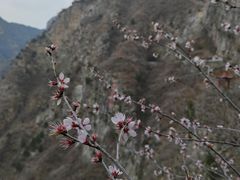 -圣莲山风景区