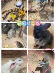 -欢乐舟·舟舟玩乐园